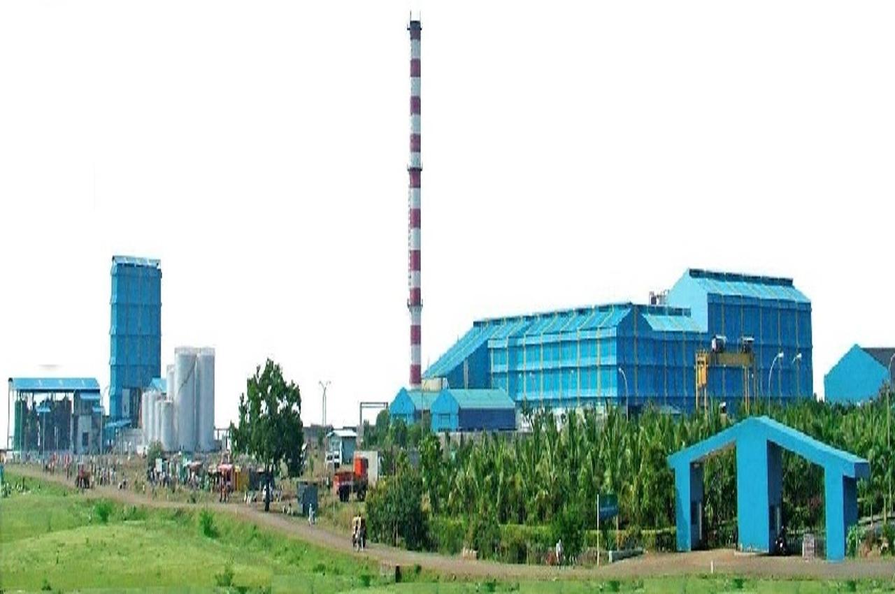 resized sugar plant 1280x850(1)